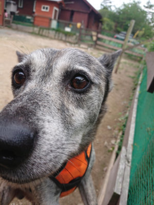f:id:roukenhome-ann:20190822053226j:plain