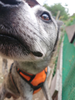 f:id:roukenhome-ann:20190822053236j:plain