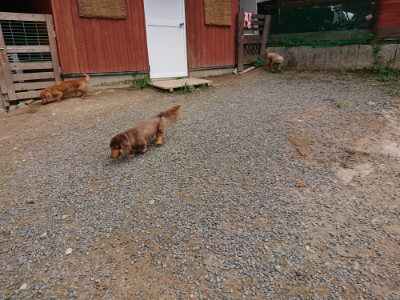 f:id:roukenhome-ann:20190822053245j:plain