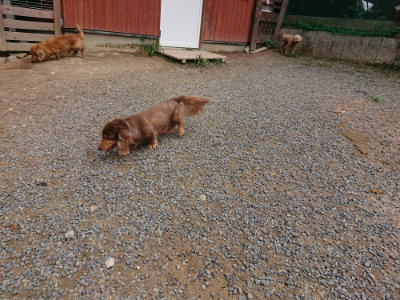 f:id:roukenhome-ann:20190822053304j:plain