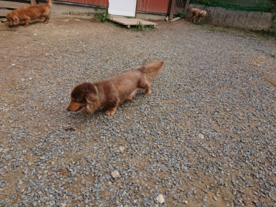 f:id:roukenhome-ann:20190822053317j:plain