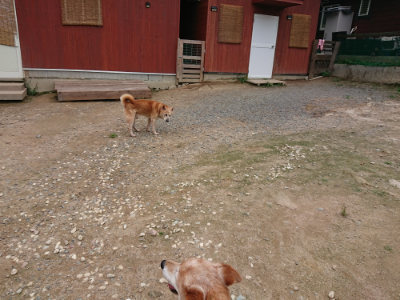 f:id:roukenhome-ann:20190822064205j:plain