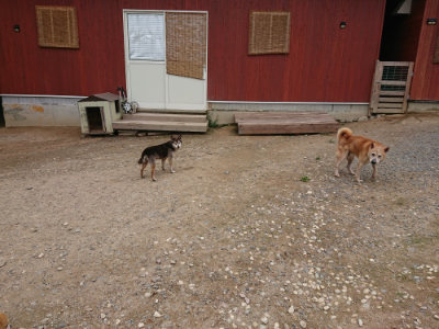 f:id:roukenhome-ann:20190822064221j:plain