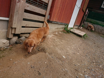f:id:roukenhome-ann:20190822064233j:plain