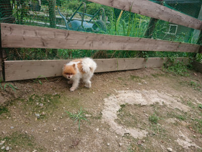 f:id:roukenhome-ann:20190822064304j:plain
