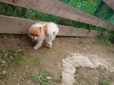 f:id:roukenhome-ann:20190822064309j:plain