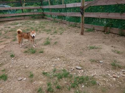 f:id:roukenhome-ann:20190822064319j:plain