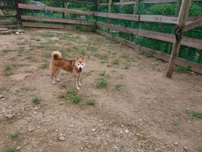 f:id:roukenhome-ann:20190822064332j:plain