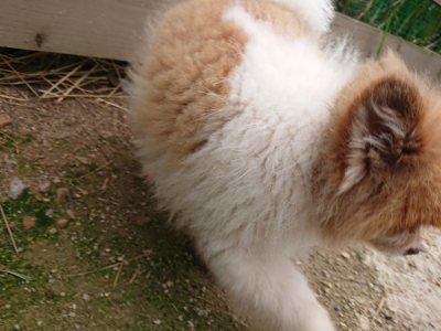 f:id:roukenhome-ann:20190822064336j:plain
