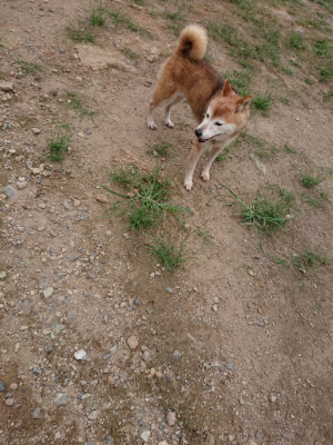 f:id:roukenhome-ann:20190822064400j:plain
