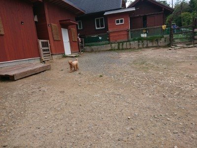 f:id:roukenhome-ann:20190822064412j:plain
