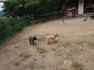 f:id:roukenhome-ann:20190822064437j:plain