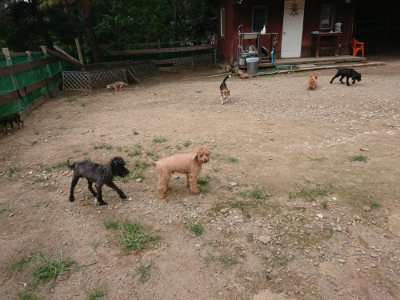 f:id:roukenhome-ann:20190822064459j:plain