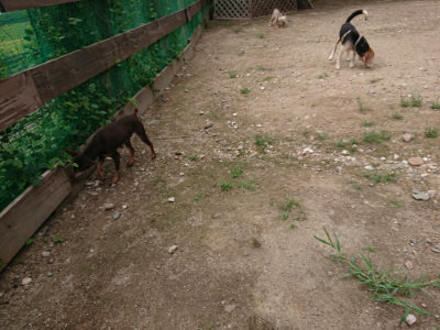 f:id:roukenhome-ann:20190822064553j:plain