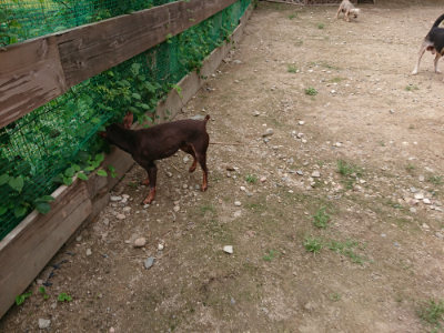 f:id:roukenhome-ann:20190822064559j:plain