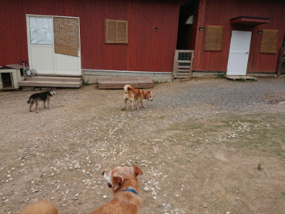 f:id:roukenhome-ann:20190822064624j:plain