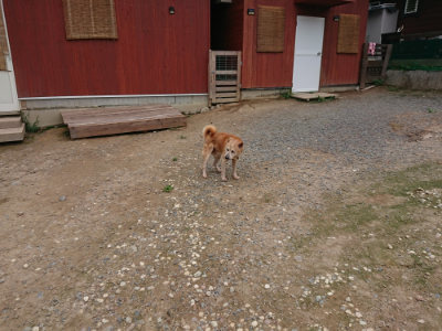 f:id:roukenhome-ann:20190822064741j:plain