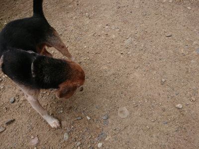 f:id:roukenhome-ann:20190822064745j:plain