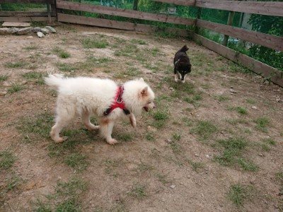 f:id:roukenhome-ann:20190822064749j:plain