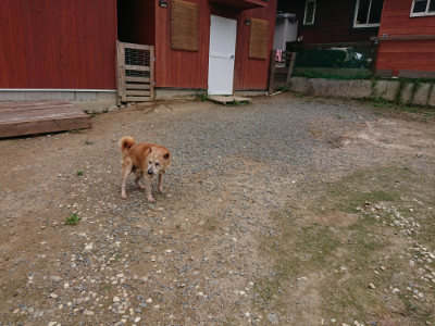 f:id:roukenhome-ann:20190822064754j:plain