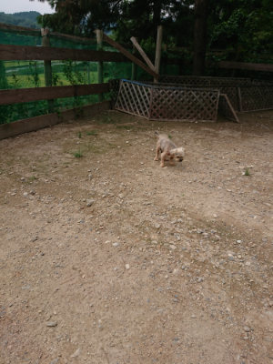 f:id:roukenhome-ann:20190822064811j:plain