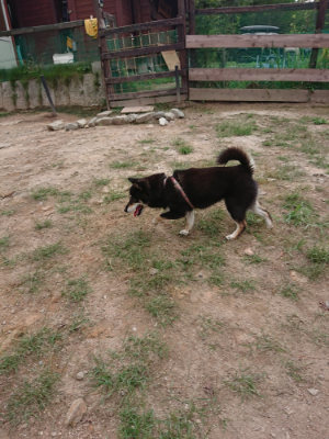 f:id:roukenhome-ann:20190822064836j:plain
