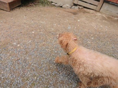 f:id:roukenhome-ann:20190822065000j:plain