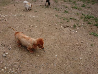 f:id:roukenhome-ann:20190822070410j:plain