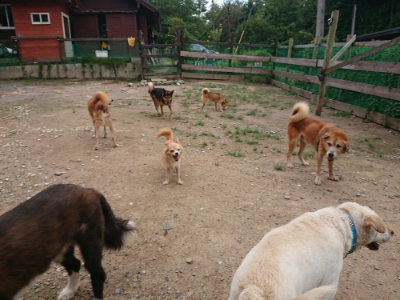 f:id:roukenhome-ann:20190822070450j:plain