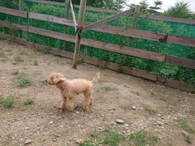 f:id:roukenhome-ann:20190822070509j:plain