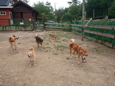 f:id:roukenhome-ann:20190822070519j:plain