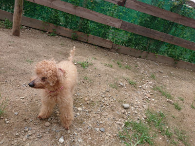 f:id:roukenhome-ann:20190822070538j:plain