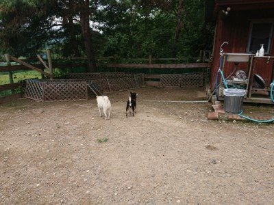 f:id:roukenhome-ann:20190822070544j:plain
