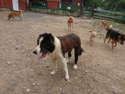 f:id:roukenhome-ann:20190822070549j:plain