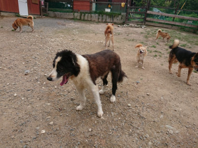 f:id:roukenhome-ann:20190822070559j:plain