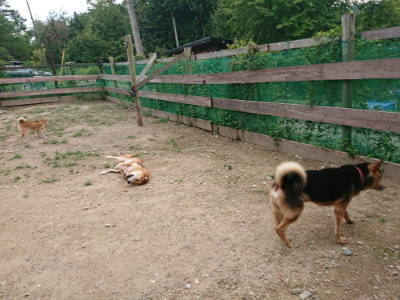 f:id:roukenhome-ann:20190822070627j:plain