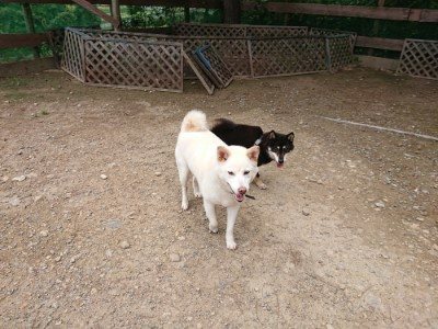 f:id:roukenhome-ann:20190822070637j:plain
