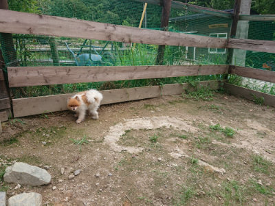 f:id:roukenhome-ann:20190822070650j:plain