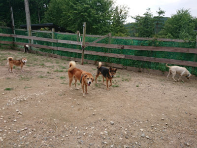 f:id:roukenhome-ann:20190822070701j:plain