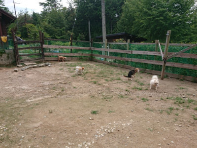f:id:roukenhome-ann:20190822070712j:plain