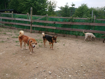 f:id:roukenhome-ann:20190822070717j:plain