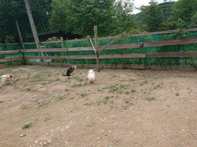 f:id:roukenhome-ann:20190822070727j:plain