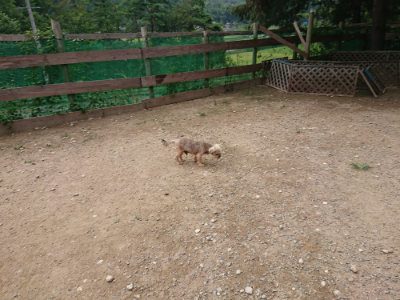 f:id:roukenhome-ann:20190822070747j:plain
