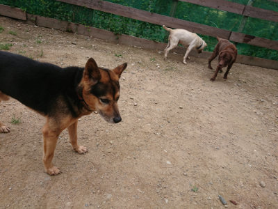 f:id:roukenhome-ann:20190822070758j:plain