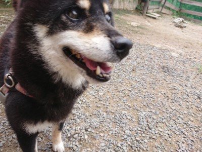 f:id:roukenhome-ann:20190822071230j:plain