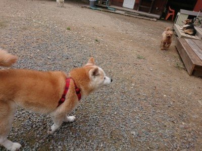 f:id:roukenhome-ann:20190822071248j:plain