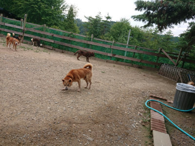 f:id:roukenhome-ann:20190822071518j:plain