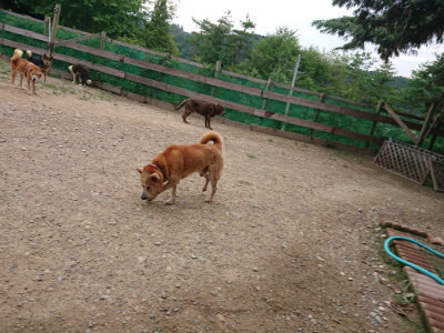 f:id:roukenhome-ann:20190822071524j:plain