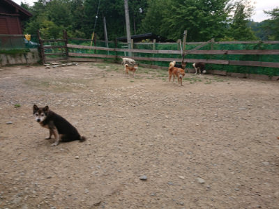 f:id:roukenhome-ann:20190822071533j:plain
