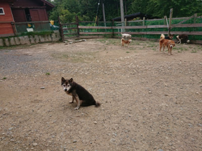 f:id:roukenhome-ann:20190822071540j:plain